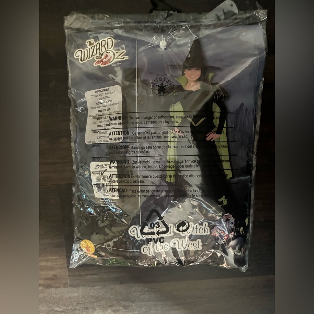 Wicked Witch Costume